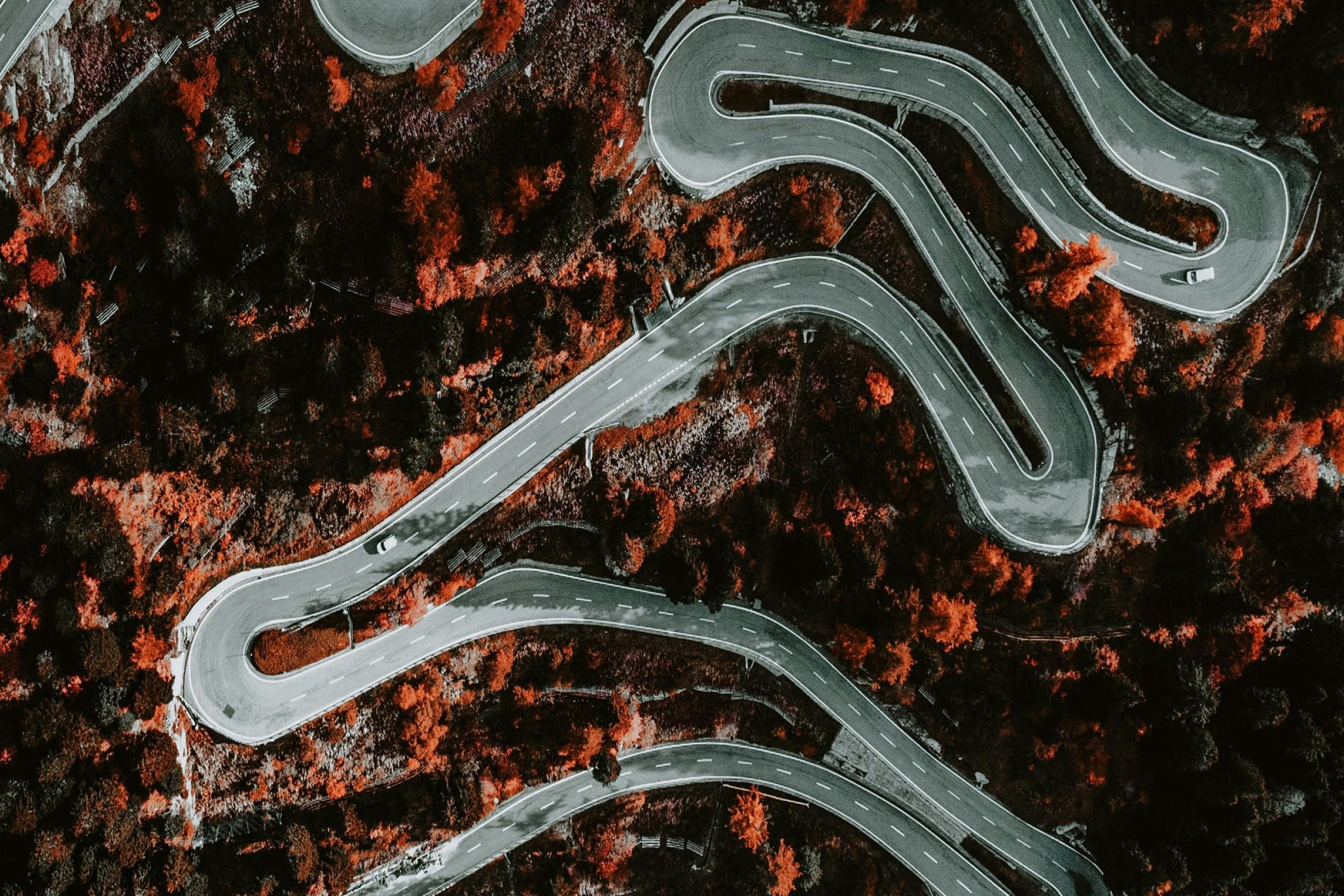 Jak negocjować cenę samochodu?